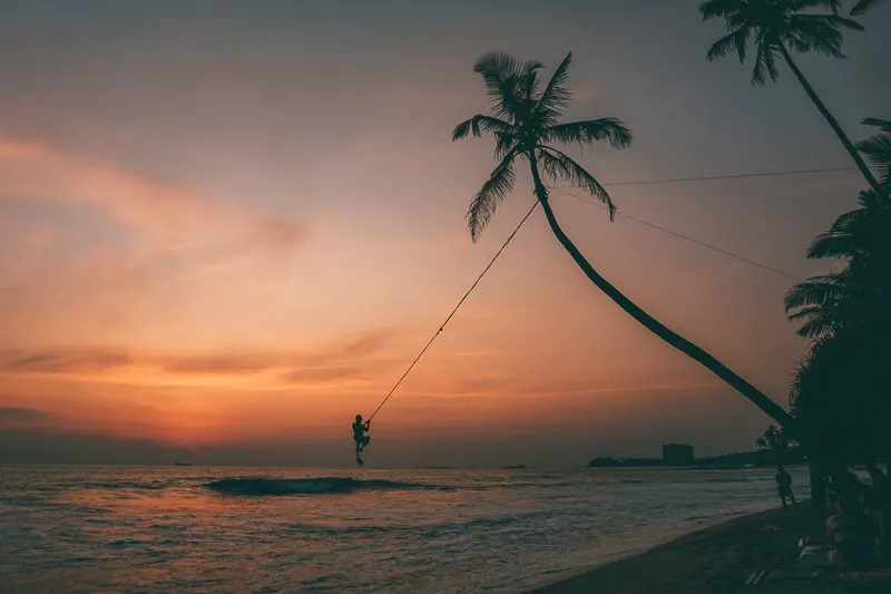 Palm-tree-swing-south-coast-sri-lanka